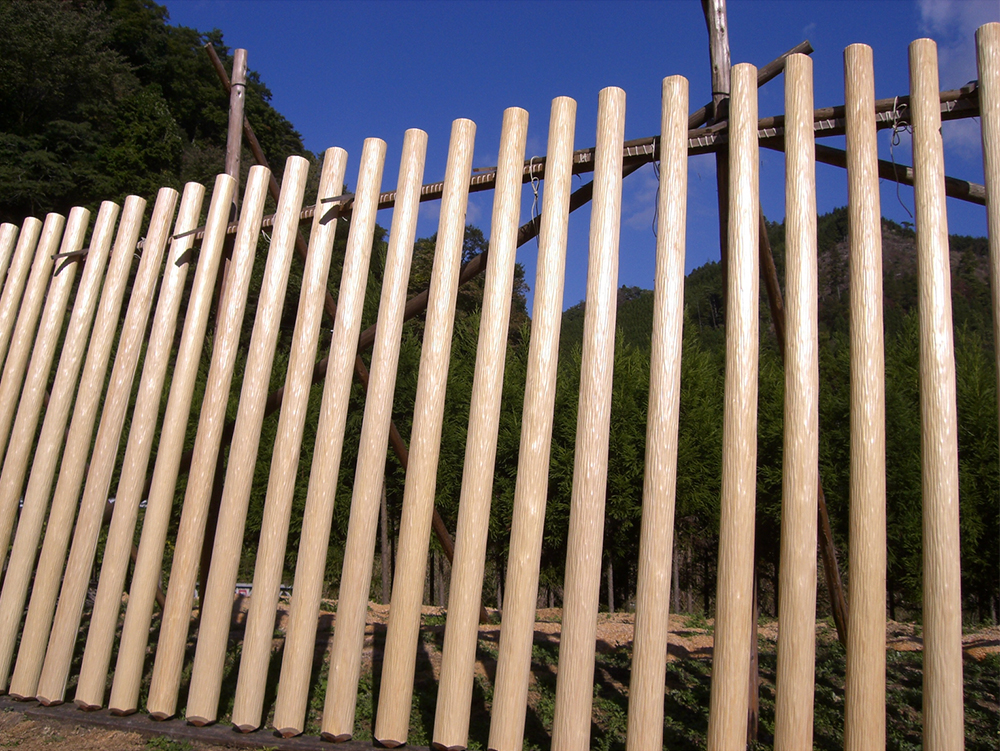 カイズカイブキ