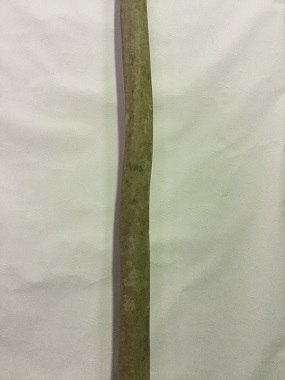 椿